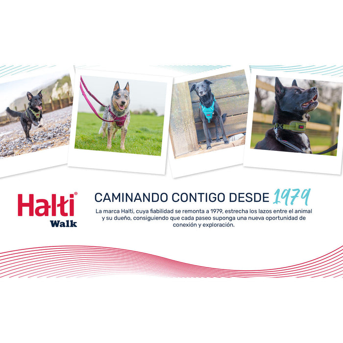 V2HCD2884FBB210B336CB75185B9A036E07R7722819P5
