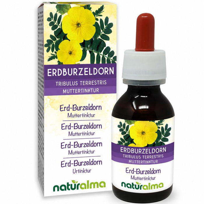 Naturalma Tribulus terrestris Flüssigextrakt