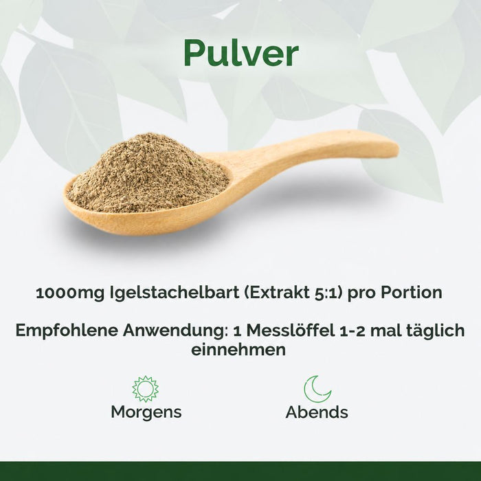 Raw Powders Löwenmähne-Extrakt Pulver