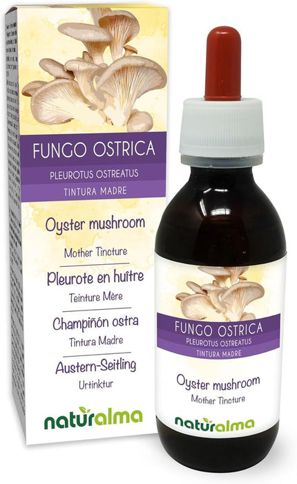 Naturalma Austern Seitling Pleurotus ostreatus  Flüssig Extrakt