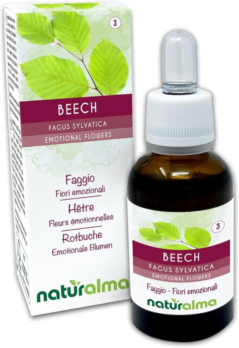 Naturalma Rotbuche Beech Tropfen
