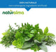 Naturalma Propolis Flüssig