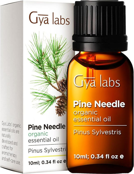 Gya Labs Ätherisches Kiefernöl für Diffuser