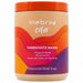 Inebrya Color Perfect Farbschutz-Haarmaske