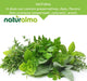Naturalma Johanneskraut Hypericum perforatum Tabletten