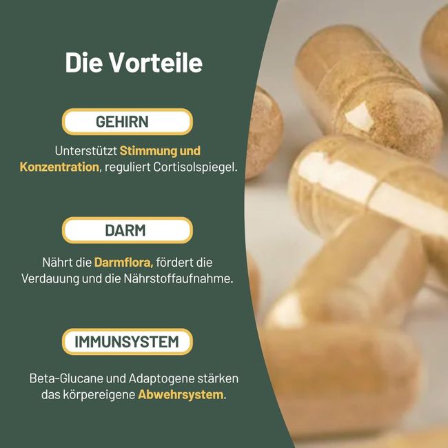 Vegan Vitality 6 Super Pilz Complex Kapseln