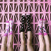 V7HFF9F1CAEB9A4224001E319A79D565B2CR5696788P8