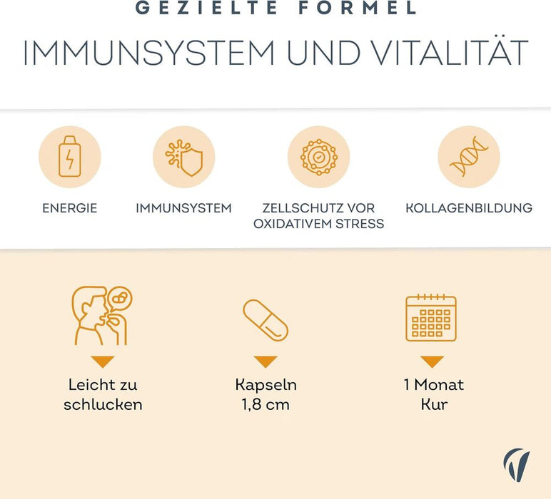 Vitavea Liposomales Vitamin C 1.000 mg