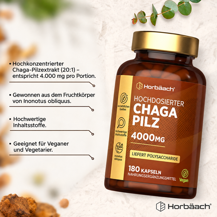 Horbäach Chaga-Pilzextrakt