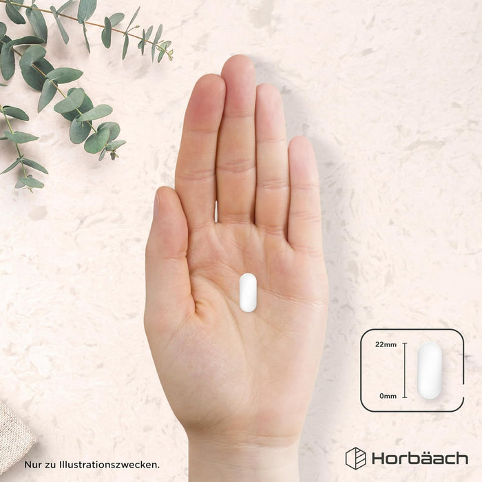 Horbäach Elektrolyt-Komplex