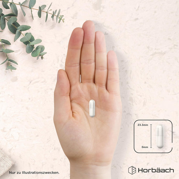Horbäach Kaliumcitrat mit Vitamin C