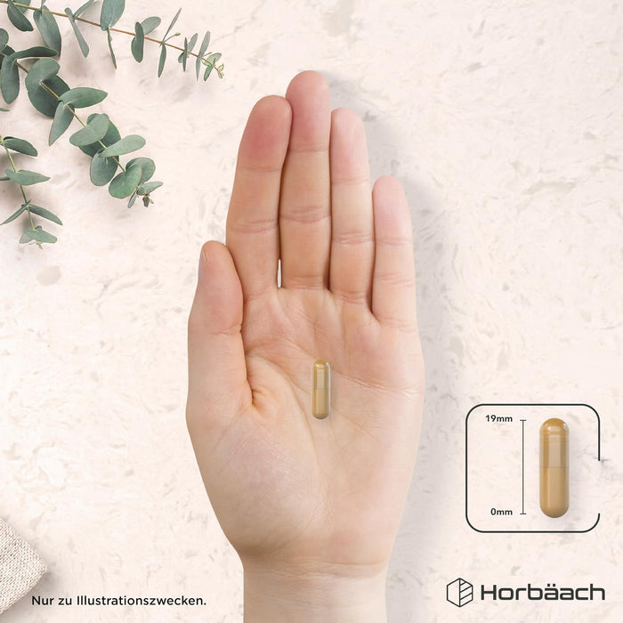 Horbäach Lutein-Zeaxanthin-Komplex