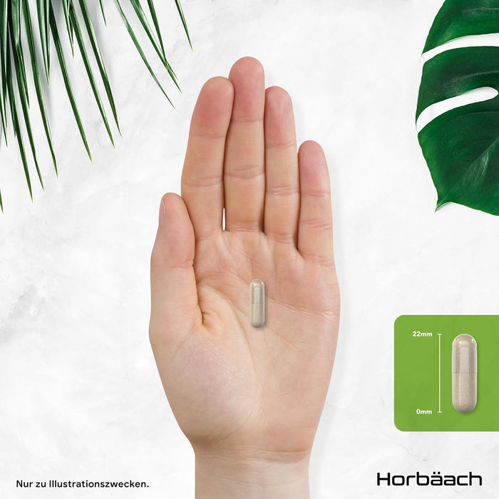 Horbäach Mariendistel-Cholin-Komplex