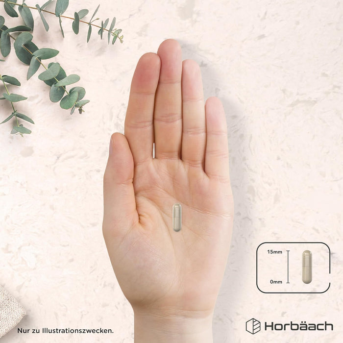 Horbäach Shilajit-Komplex