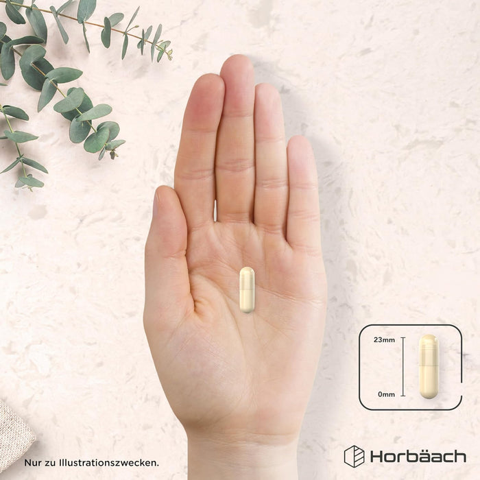 Horbäach Vitamin-K-Komplex