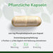 Raw Powders Phosphatidylserin