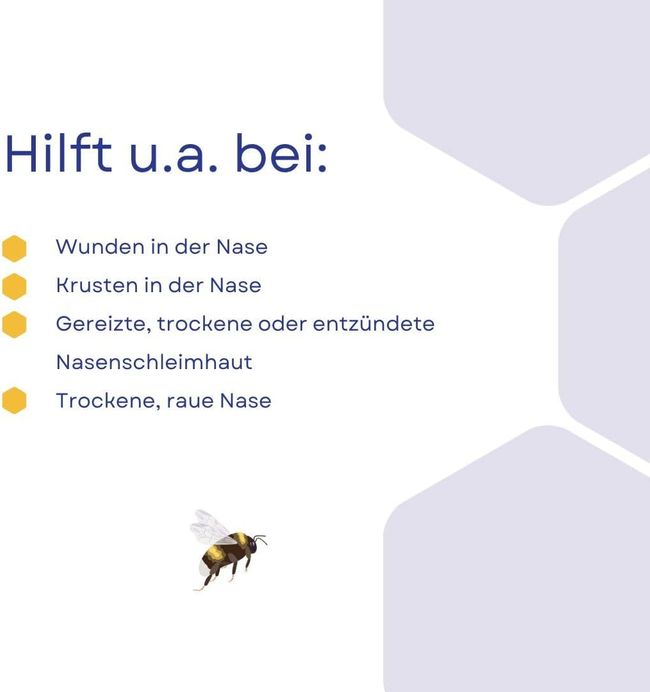 NASUMEL Nasensalbe – Honigsalbe