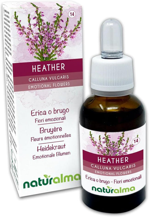 Naturalma Heidekraut Calluna vulgaris Tropfen