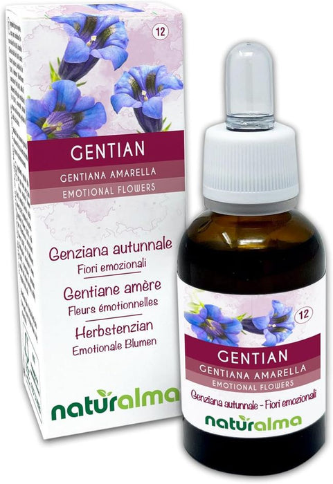 Naturalma Herbstenzian Gentiana amarella Tropfen