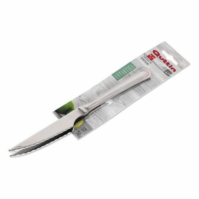 Steakmesser-Set Antartica Quttin (21,5 cm)