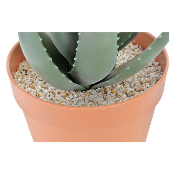 Dekorationspflanze Dekodonia PP EVA (25 x 23 x 44 cm)
