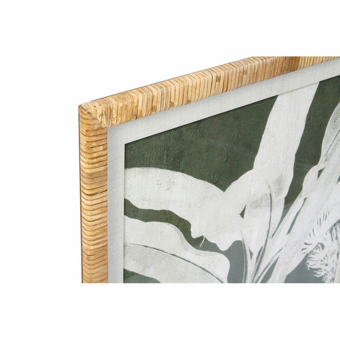 Bild DKD Home Decor Palmen (50 x 2 x 70 cm) (4 pcs)