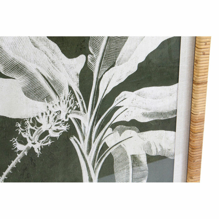 Bild DKD Home Decor Palmen (50 x 2 x 70 cm) (4 pcs)