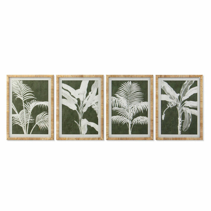 Bild DKD Home Decor Palmen (50 x 2 x 70 cm) (4 pcs)