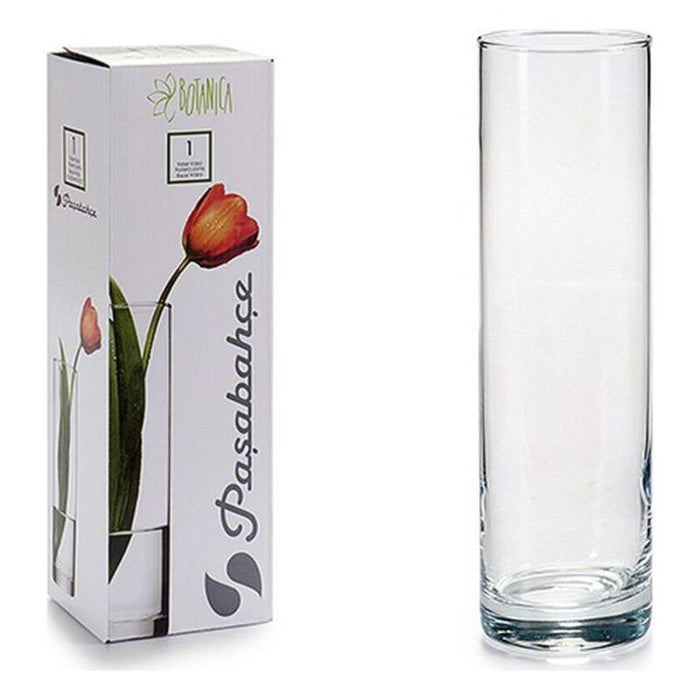 Vase Glas (8 x 26,5 x 8 cm)