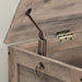 Truhen, Sitzbank mit Stauraum, Spielzeugtruhe mit Deckel, Schuhbank, Sitztruhe, Aufbewahrungstruhe, Robust, Sicherheitsscharniere, Schlafzimmer