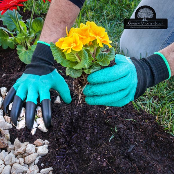 Garden & Greenhouse Gartenhandschuhe mit 4 Krallen zum Graben